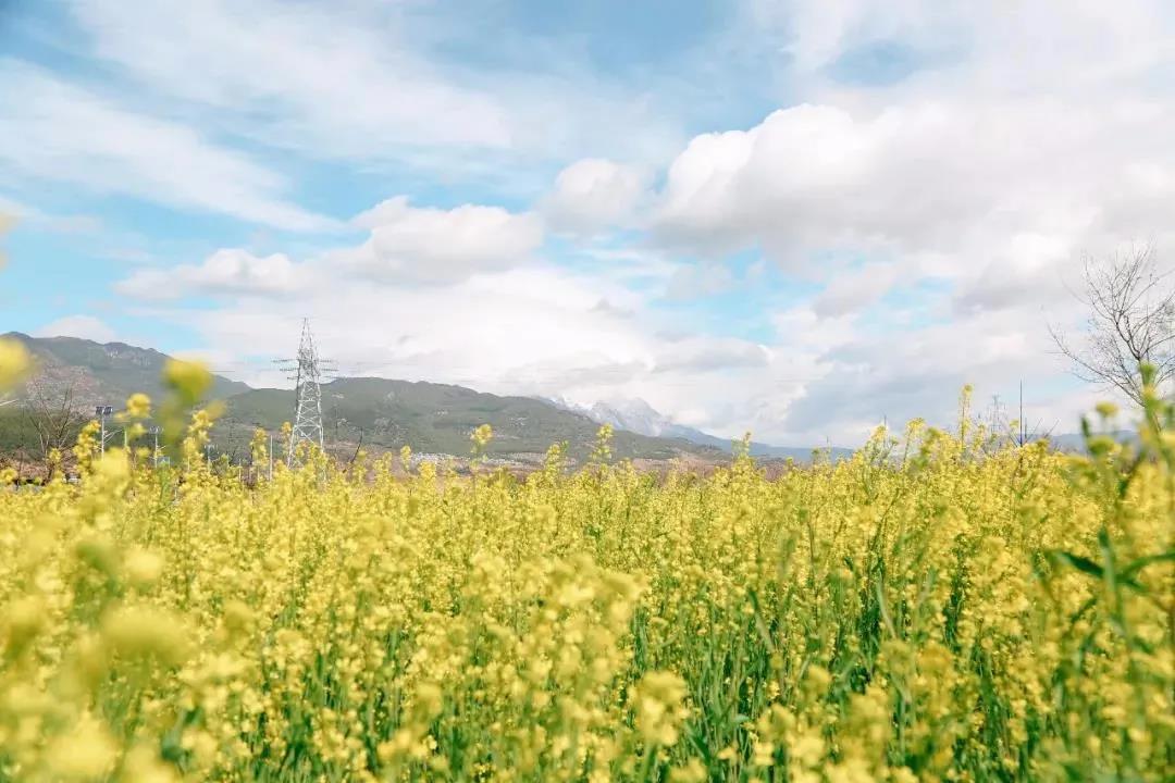 多彩麗江，村游正當(dāng)時(shí)，約起來！