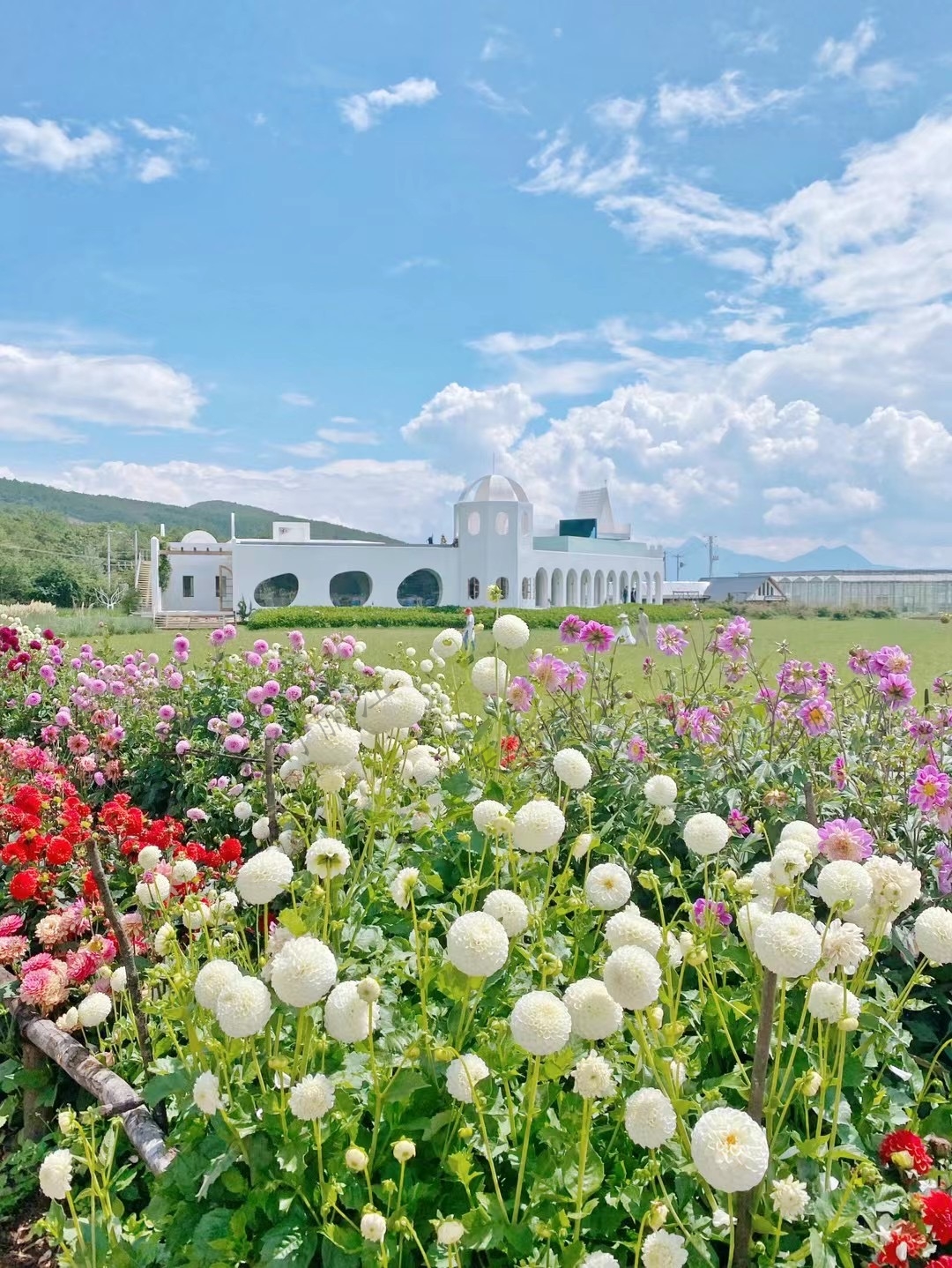 麗江聽花谷餐廳