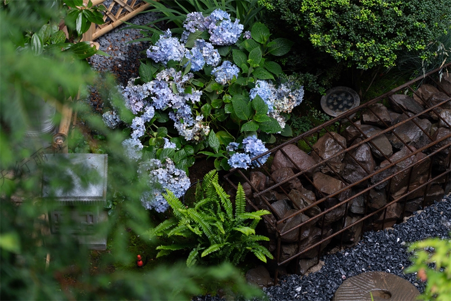 麗江束河鳳凰養(yǎng)生度假酒店